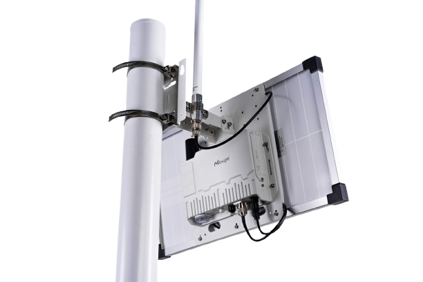 SG50 vista 4